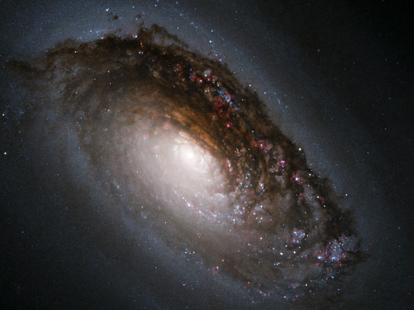 StereoMan Hubble Photos
